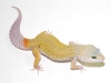 patternless