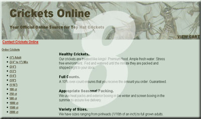 Crickets Online