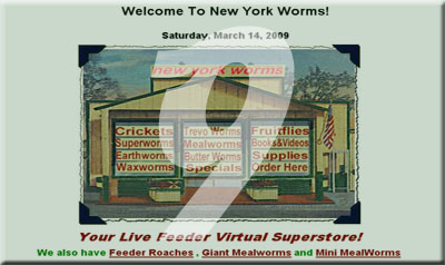 New York Worms