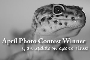 April Photo Contest Winner & Site Updates