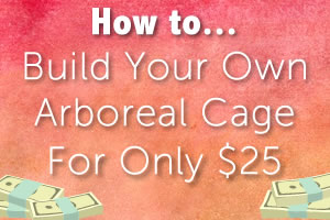 DIY: Build an Arboreal Cage for Only $25