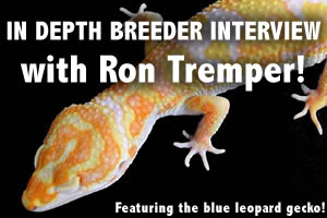 Interview with Ron Tremper of LeopardGecko.com
