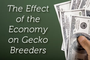 The Effect of the Economy on Gecko Breeders