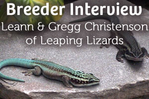Interview with Leann & Gregg Christenson: Phelsuma