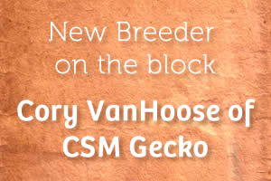 Small Breeder Interview: Cory VanHoose of CSM Gecko