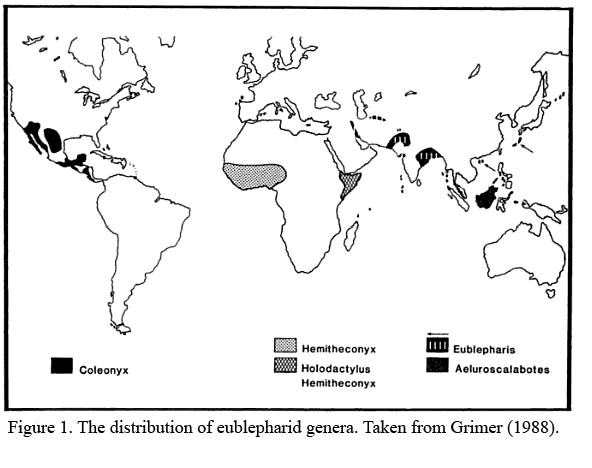 eublepharid range map eublepharid range map