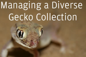 Evolving Tastes: Managing a Diverse Collection