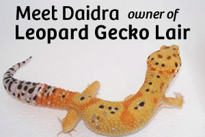 Small Breeder Interview: Daidra from Leopard Gecko Lair