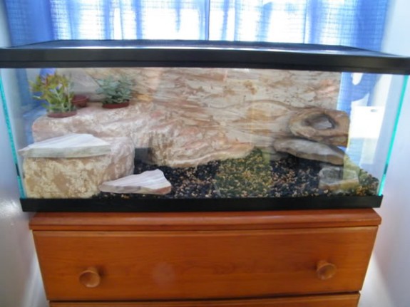 Finished DIY Rock Enclosure Finished DIY Rock Enclosure