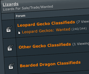 GeckoForums.net Classifieds GeckoForums.net Classifieds