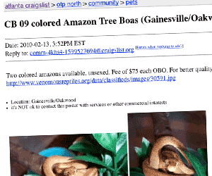 Sell reptiles on Craigslist Sell reptiles on Craigslist