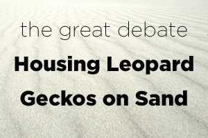 Housing Leopard Geckos on Sand: The Great Debate