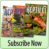 reptiles-magazine
