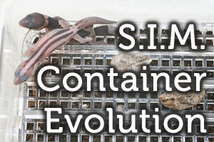 Squamata Concepts’ S.I.M. Container Evolution