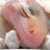 Beginner Breeder Basics: Comparing Incubation Mediums