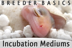 Beginner Breeder Basics: Comparing Incubation Mediums