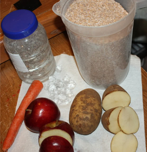 how to breed mealworms gecko time gecko time how to breed mealworms gecko time gecko time