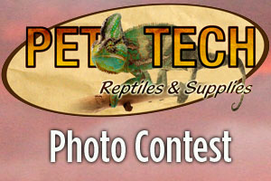Pet-Tech Products Photo Contest: Submissions Open