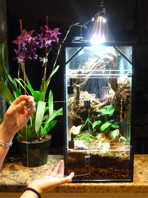 final product Reptile Terrarium