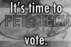 Pet-Tech Photo Contest: Time to Vote