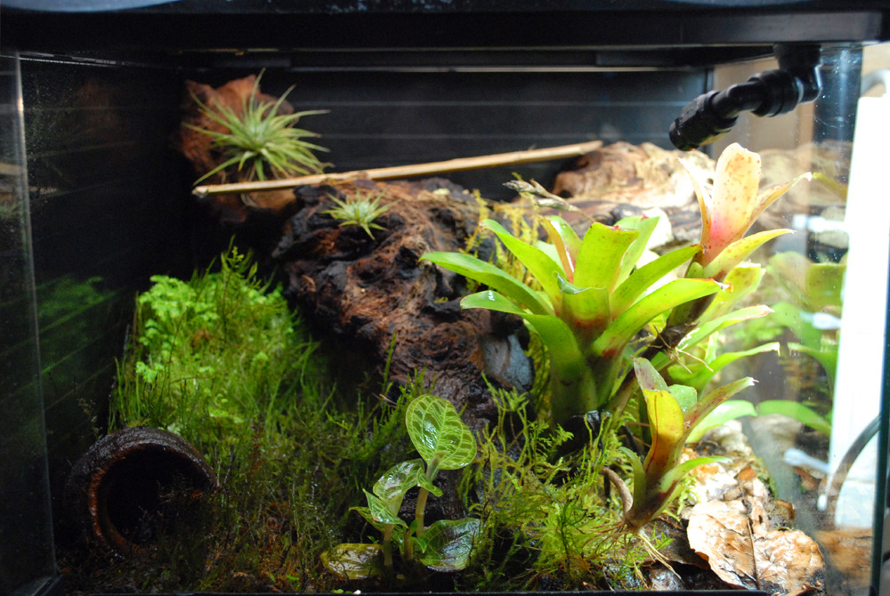 Klemmeri Vivarium Klemmeri Vivarium