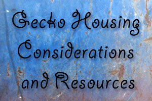 Gecko Housing Considerations and Resources
