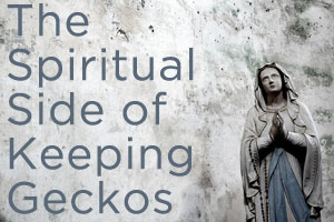 The Spiritual Side of Keeping Geckos