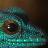 Breeding Lygodactylus williamsi