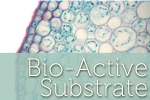 Bio-active Substrate