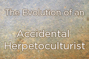 The Evolution of an Accidental Herpetoculturist