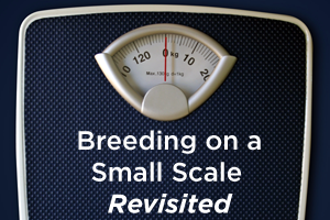 Breeding on a Small Scale Revisited