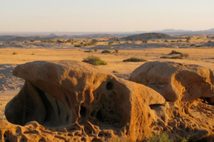 Conservation Biology in Namibia