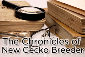 Breeder Chronicles: Season Comes to a Difficult End