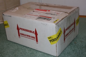 Importing Geckos from Germany to the United States