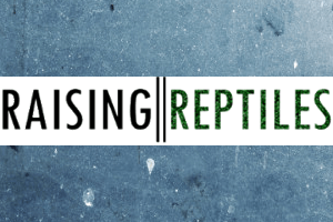 Introducing “Raising Reptiles”