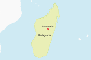 Wild-Caught in Madagascar: From forest to shoebox