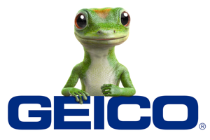 Gecko Time acquired by Geico