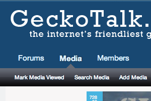 Reptile Forum Profile: GeckoTalk.com