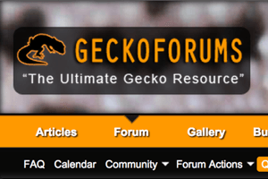 Reptile Forum Profile: Geckoforums.net