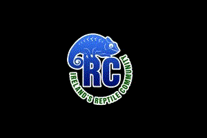 Reptile Forum Profile: Reptile-Community, an Irish Forum