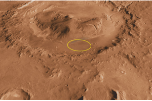 Breaking: Lizard found on Mars