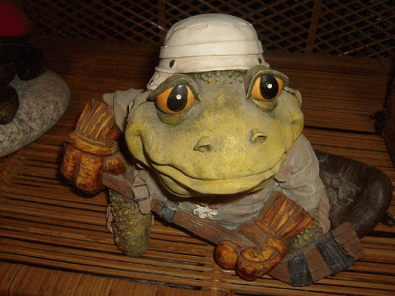 SPIDER'S BODY GUARD , PROTECTOR OF THE GECKO KINGDOM. THIS IS " PUCK "